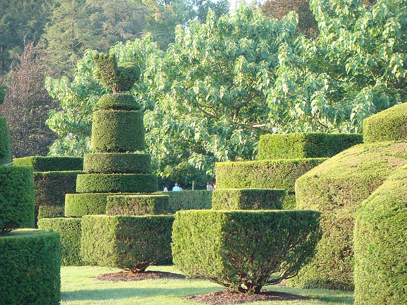 475 Longwood Gardens [2008 August 23].JPG - Longwood Gardens in Pennsylvania